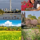 广州旅游 缩略图 2