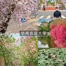 广州旅游 缩略图 8