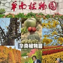 广州旅游 缩略图 9