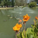 广州旅游 缩略图 17