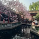 广州旅游 缩略图 4