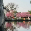 广州旅游 缩略图 6