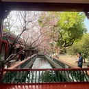 广州旅游 缩略图 7