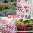 广州旅游 缩略图 1