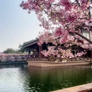 广州旅游 缩略图 8