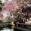 广州旅游 缩略图 5