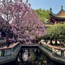 广州旅游 缩略图 1