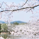 南昌旅游 缩略图 6