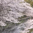 南昌旅游 缩略图 2