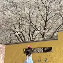 郑州旅游 缩略图 2