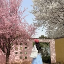 郑州旅游 缩略图 1