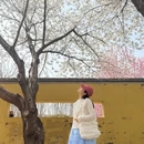 郑州旅游 缩略图 4