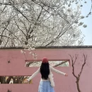 郑州旅游 缩略图 7