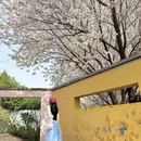 郑州旅游 缩略图 10
