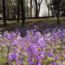 郑州旅游 缩略图 12