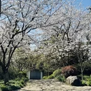 重庆旅游 缩略图 8