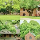 广州旅游 缩略图 6