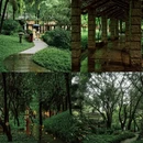 广州旅游 缩略图 15