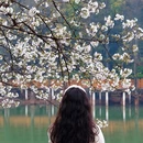 长沙旅游 缩略图 4