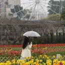 长沙旅游 缩略图 11