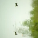 广州旅游 缩略图 9