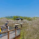 武汉旅游 缩略图 8