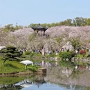 武汉旅游 缩略图 4