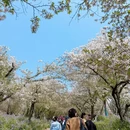 武汉旅游 缩略图 2