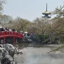 武汉旅游 缩略图 6