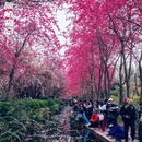 昆明旅游 缩略图 3