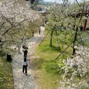 武汉旅游 缩略图 16