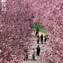 昆明旅游 缩略图 9
