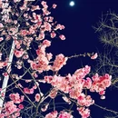 昆明旅游 缩略图 12