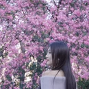 广州旅游 缩略图 1