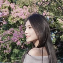 广州旅游 缩略图 5