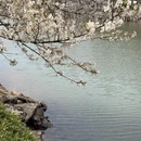 长沙旅游 缩略图 1