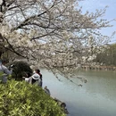 长沙旅游 缩略图 2