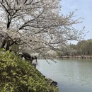 长沙旅游 缩略图 4