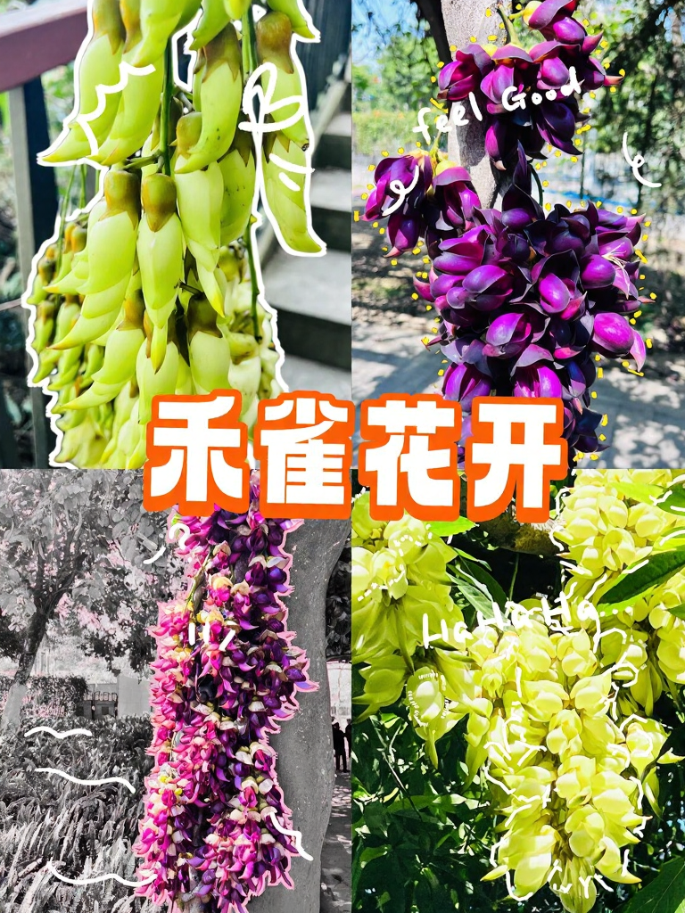 广州旅游