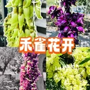 广州旅游 缩略图 1