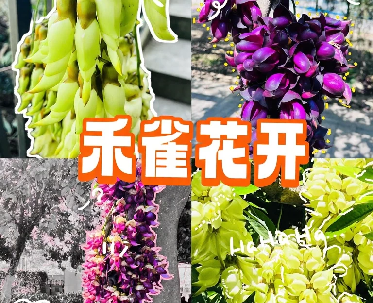 广州旅游 1