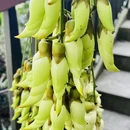 广州旅游 缩略图 3