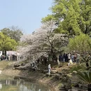 长沙旅游 缩略图 5