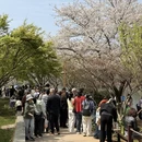 长沙旅游 缩略图 6