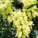 广州旅游 缩略图 4