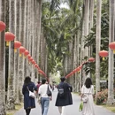 广州旅游 缩略图 4