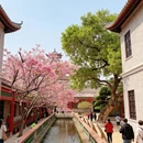 广州旅游 缩略图 2