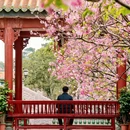 广州旅游 缩略图 5