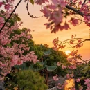 广州旅游 缩略图 1