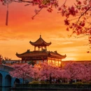 广州旅游 缩略图 7